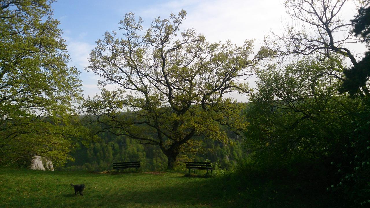 Berghaus Knopfmacher 弗瑞迪根昂德唐 外观 照片