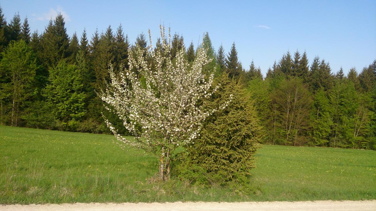 Berghaus Knopfmacher 弗瑞迪根昂德唐 外观 照片